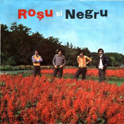 ROSU si NEGRU : Leopardul